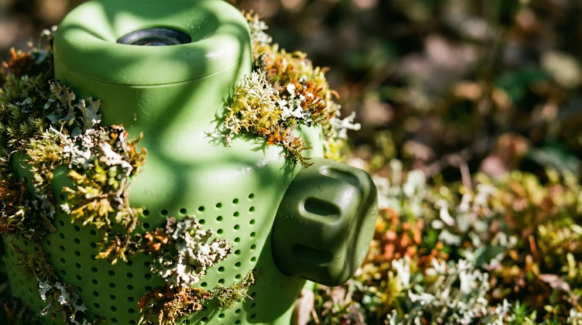 Close-up of a mur mur speaker resting in a forest plot